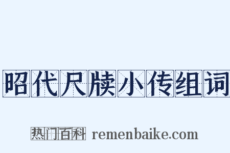 昭代尺牍小传组词是什么意思的图片